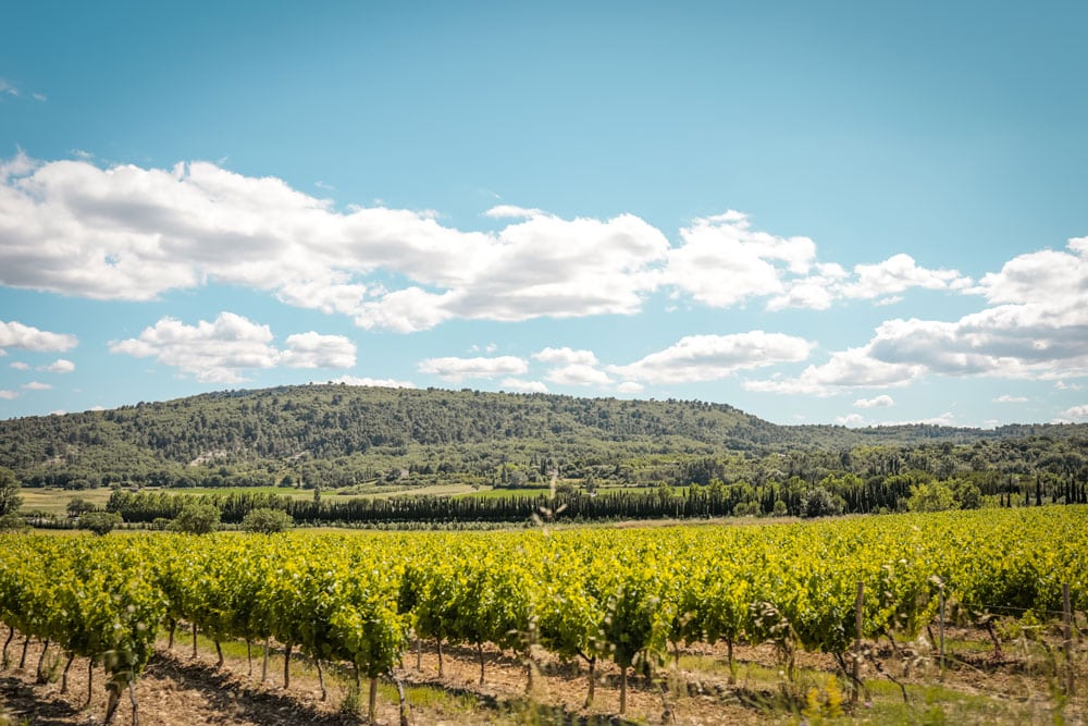 visiter un vignoble dégustation vin du Luberon