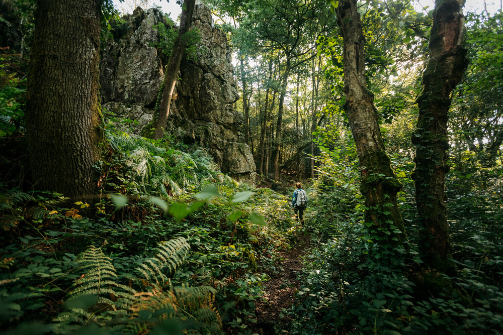 visiter forets mystérieuses de Haute-Bretagne