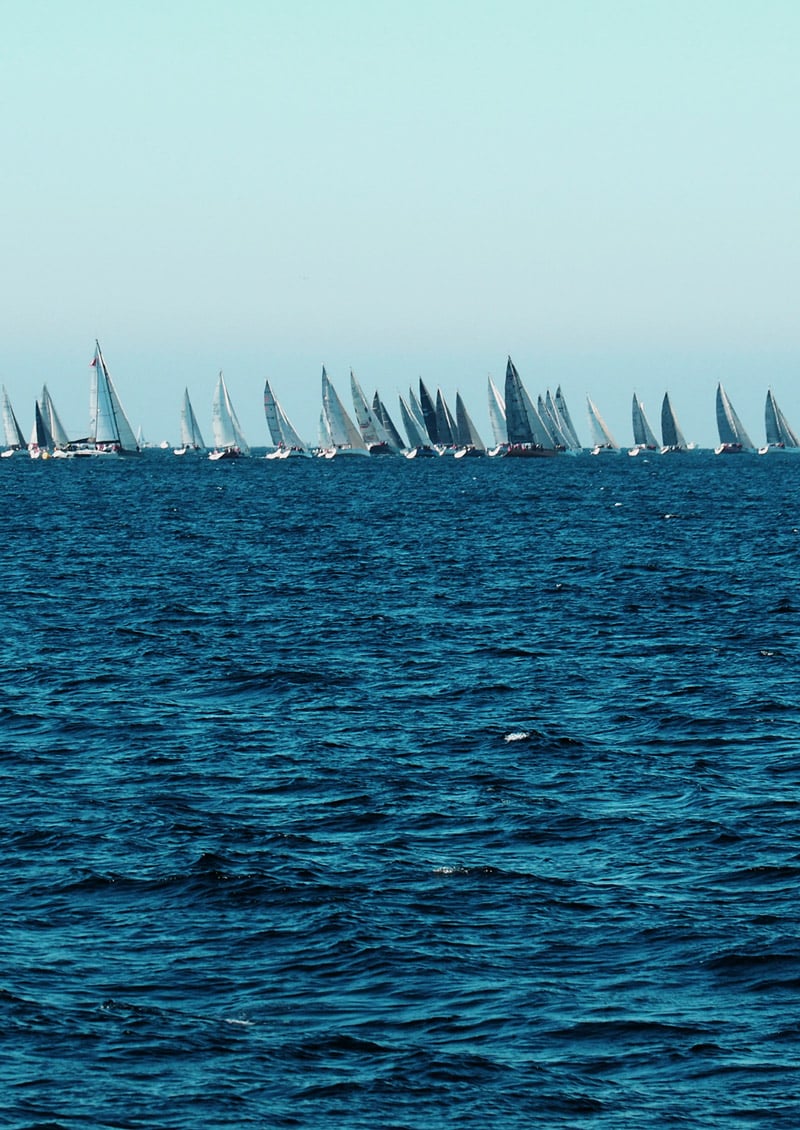 activités îles du Frioul