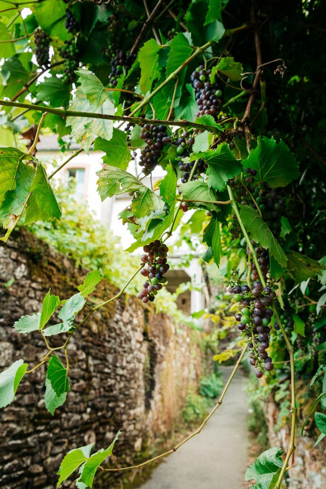 visiter les jardins de Vitré Bretagne