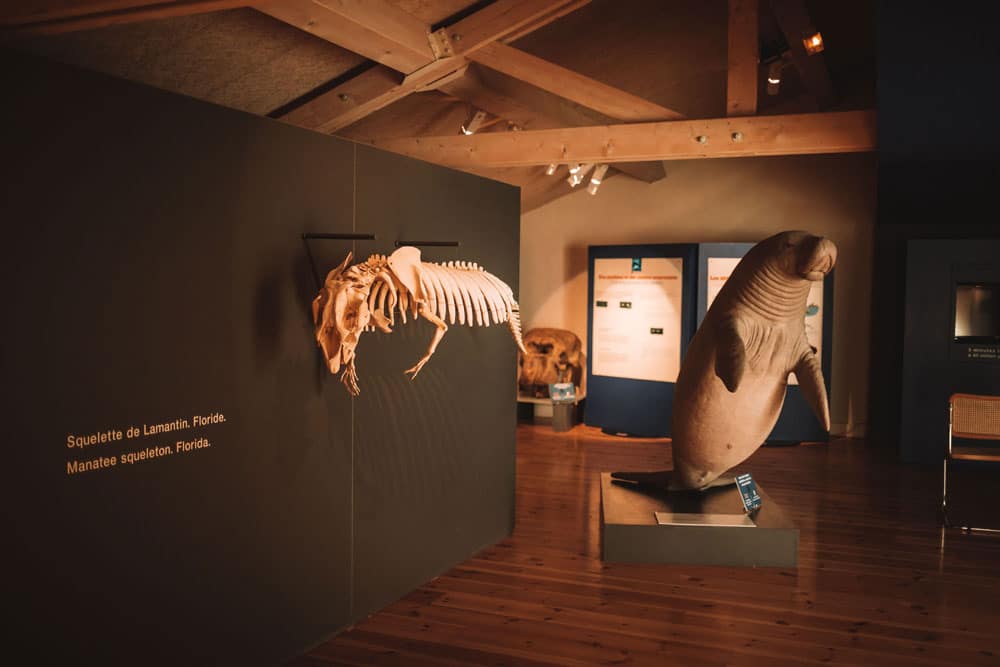 maison de la nature et patrimoines Castellane