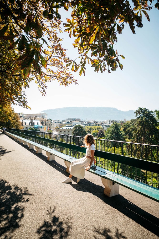 où voir le marronnier officiel de Genève ?