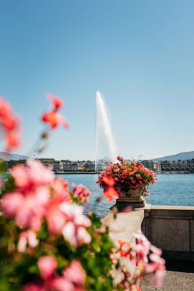 pourquoi jet d'eau Genève ?