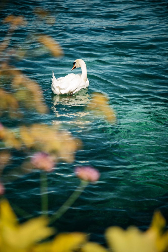 visiter lac Léman Genève en Suisse week-end nature