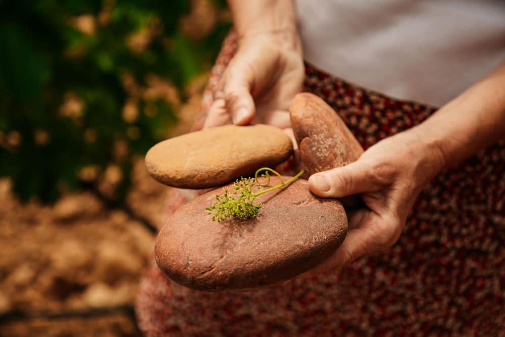 découvrir terroir de Beaucaire