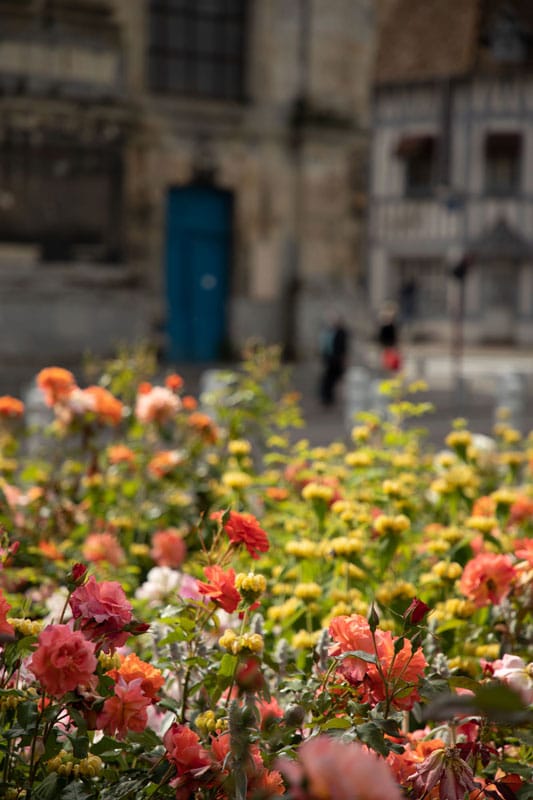 faire alentours Rouen jardins Elbeuf