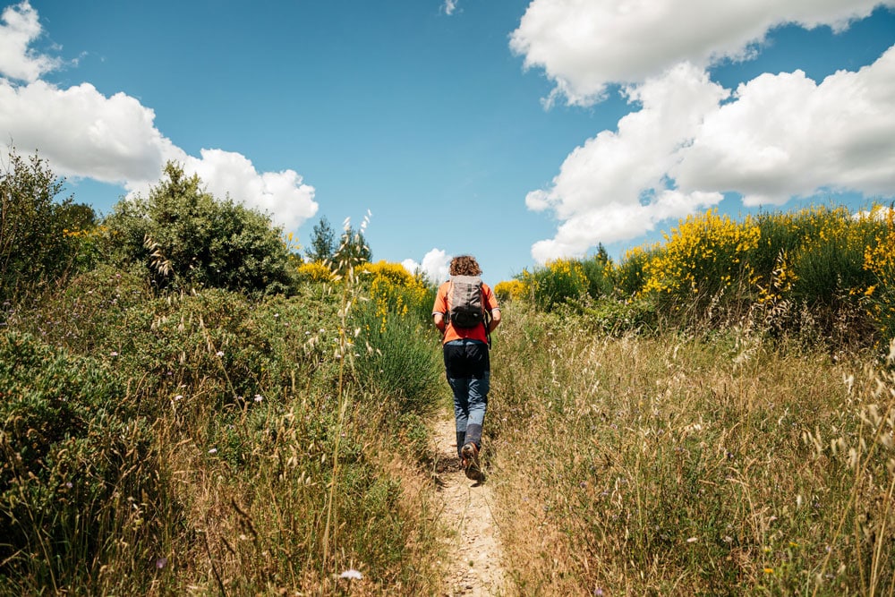 où se promener à Beaucaire