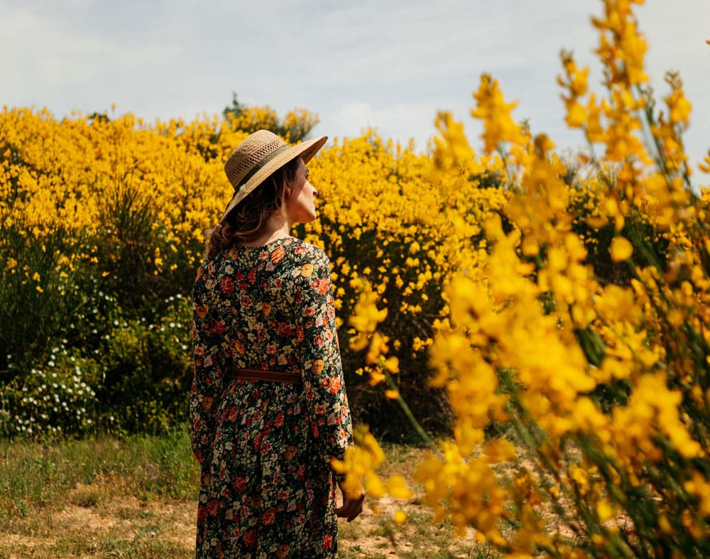 promenade entre les vignobles de Beaucaire