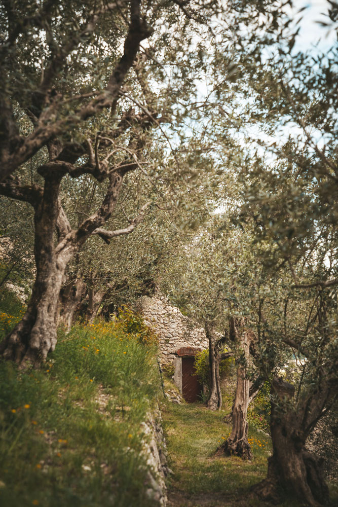 sentier pédestre Entrevaux