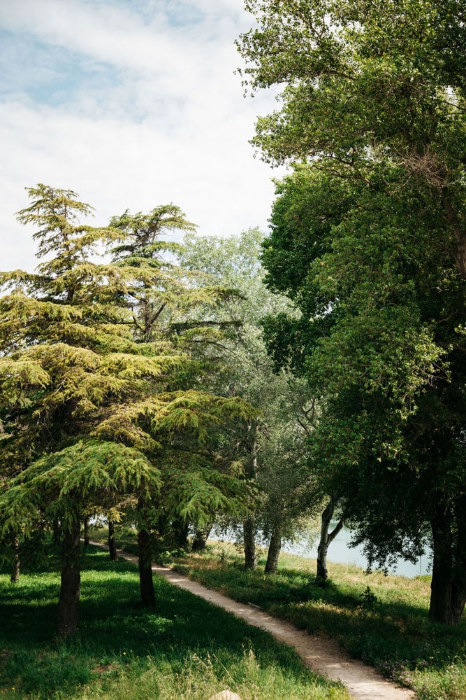 sentier sous la digue de Beaucaire