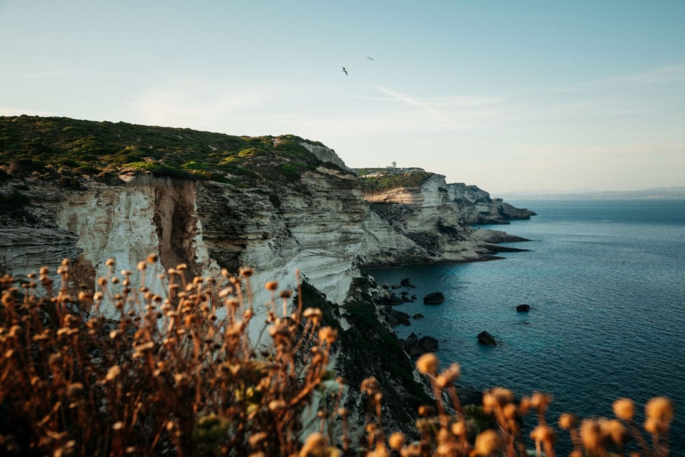 ce qu'il faut faire absolument en Corse du sud