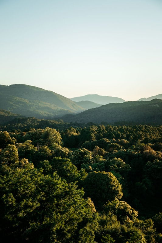 découvrir Alta Rocca