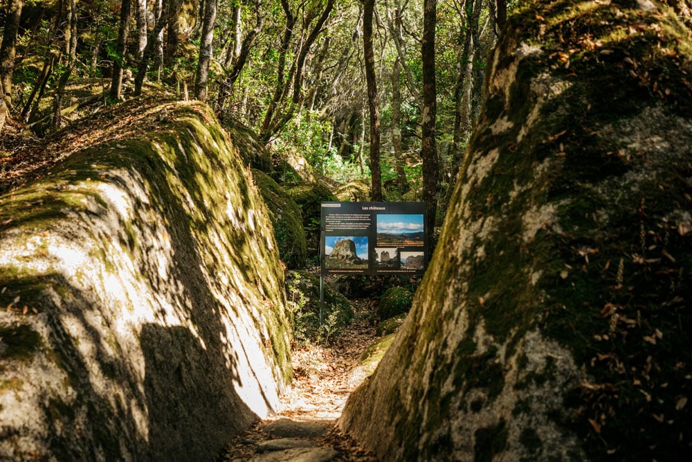 musée nature archéologie en Corse