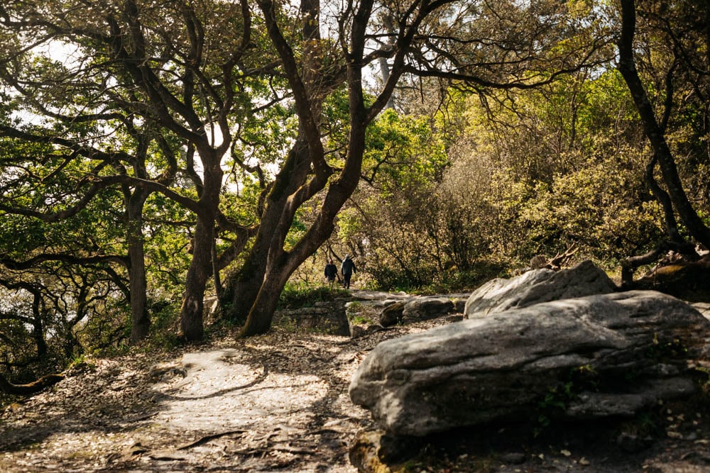 Bois de la Chaise Noirmoutier