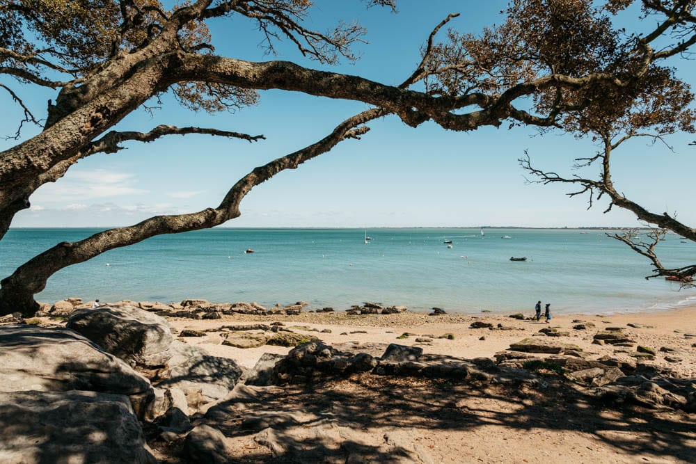 explorer plage des Dames