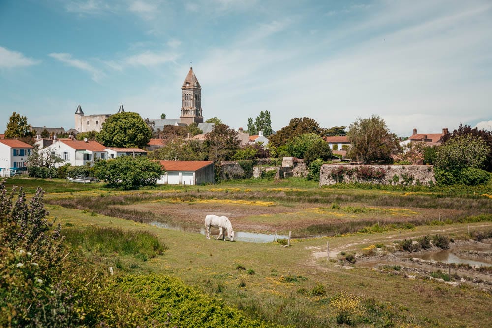 faire le tour de Noirmoutier a vélo en 6 jours