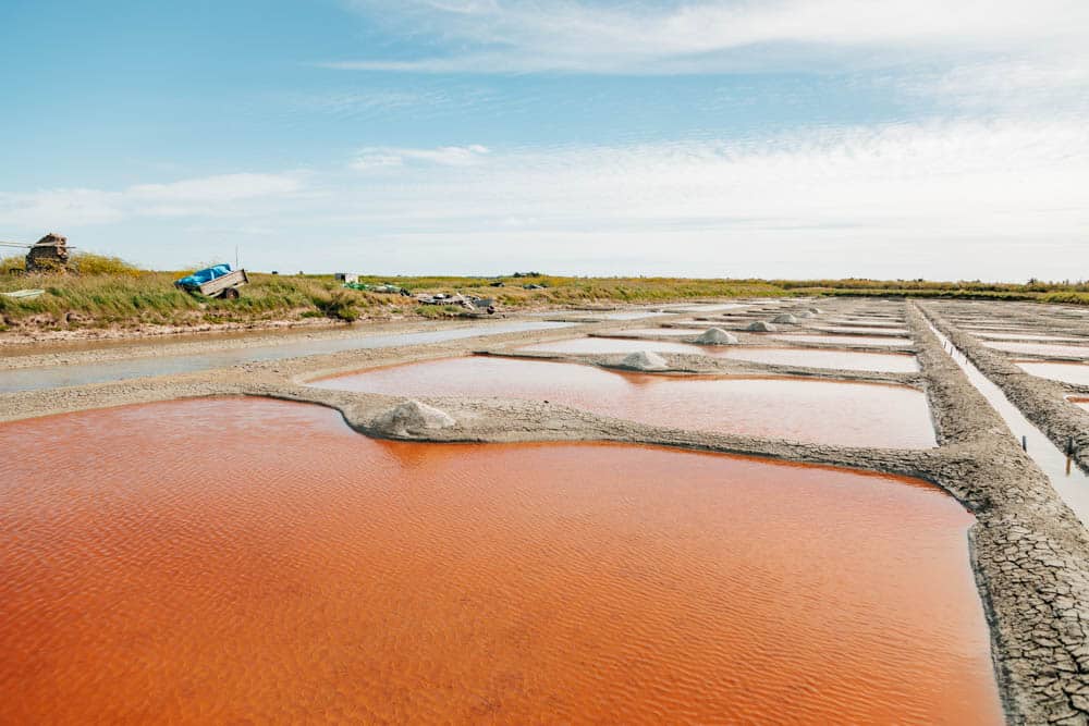 marais salants après la pluie Noirmoutier