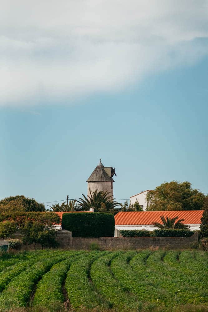 moulins de Noirmoutier