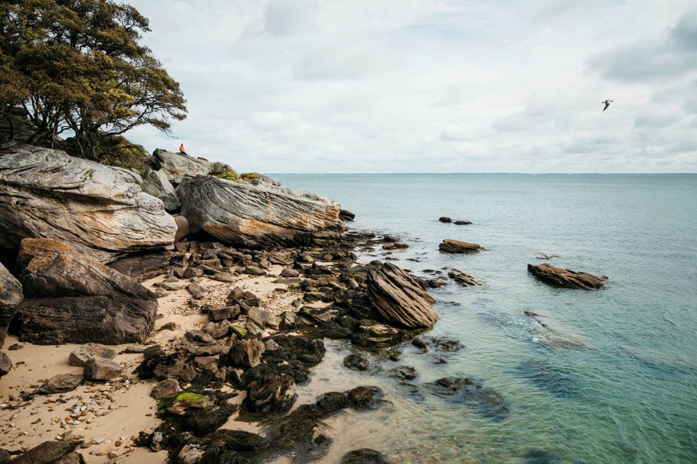 que faire sur ile de Vendée ?