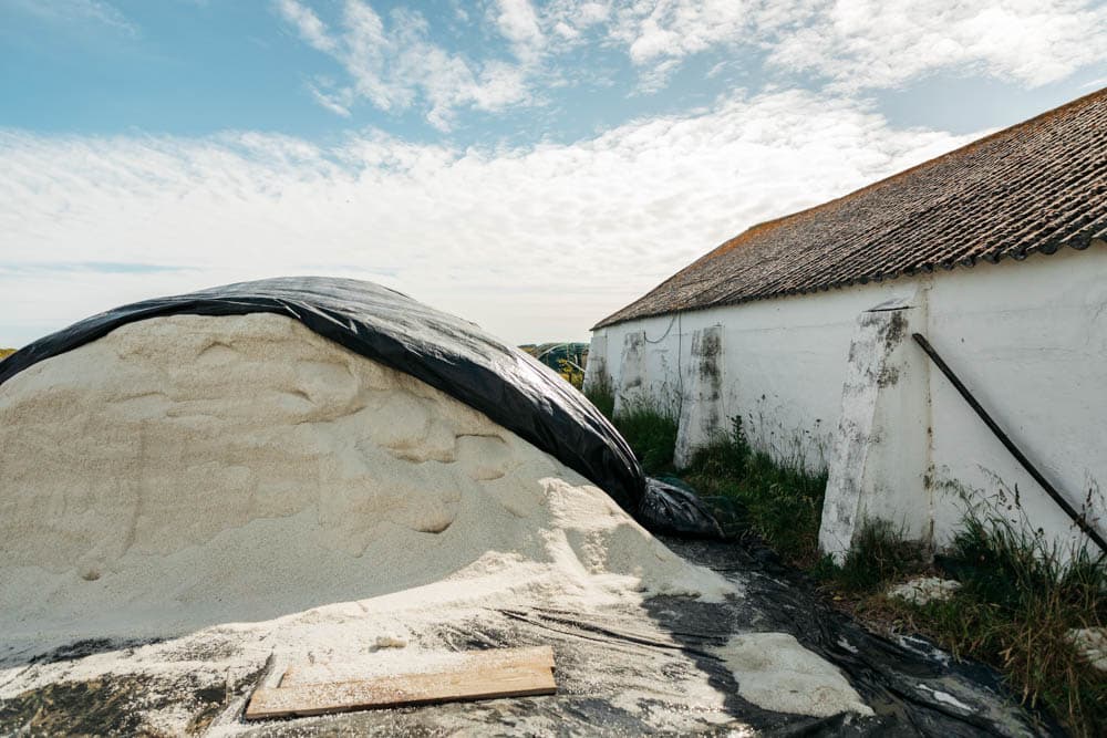 visite marais salant Noirmoutier