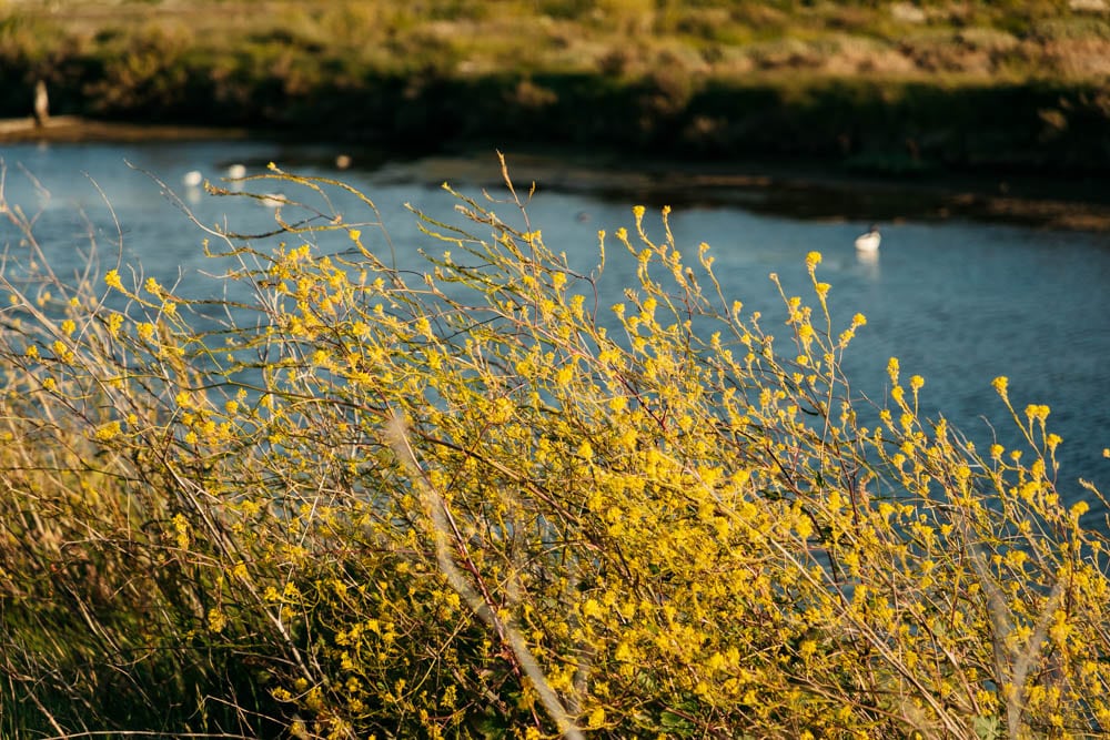 visiter polder de Sébastopol