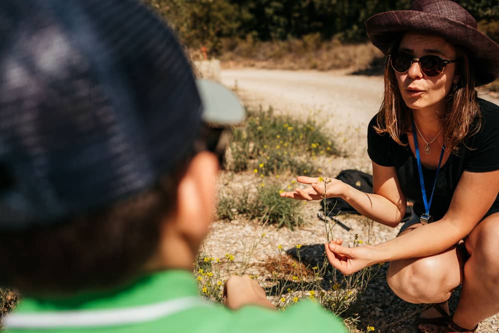 balades guidées pays d'Aix école buissonnière