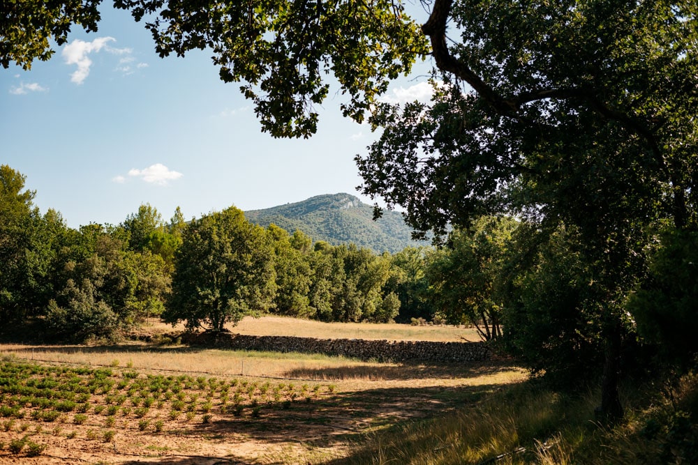 balades vers le massif Concors Sainte Victoire