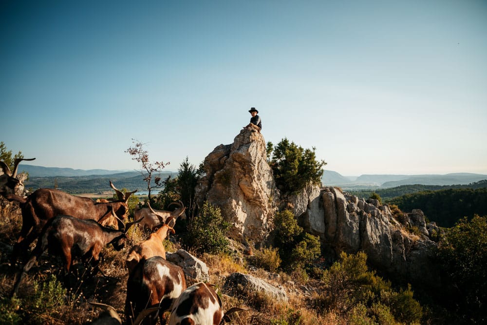 promenade sur le massif Concors Sainte Victoire