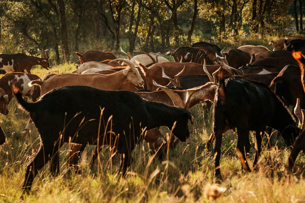 que faire en nature autour Aix en Provence