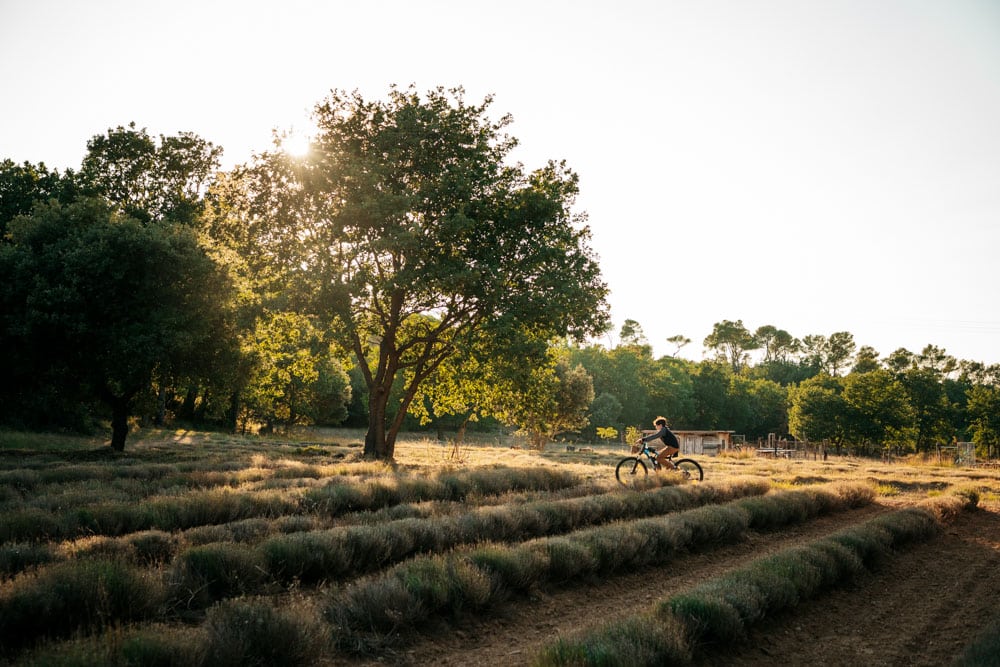 que faire en Pays d'Aix ?