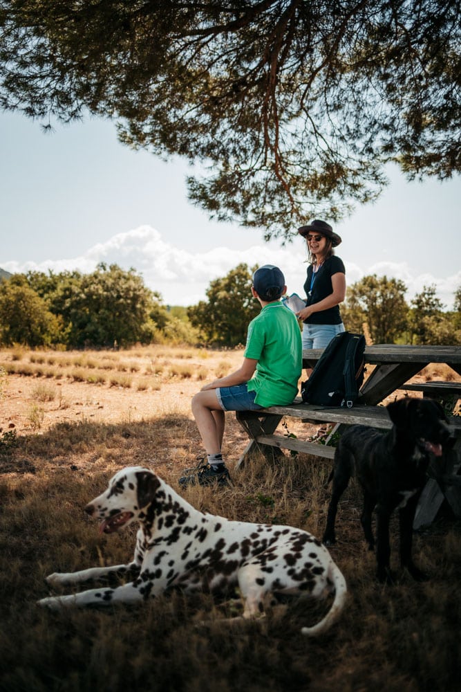 visite guidée en nature Aix en Provence