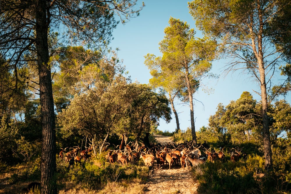 visite pays d'Aix insolite