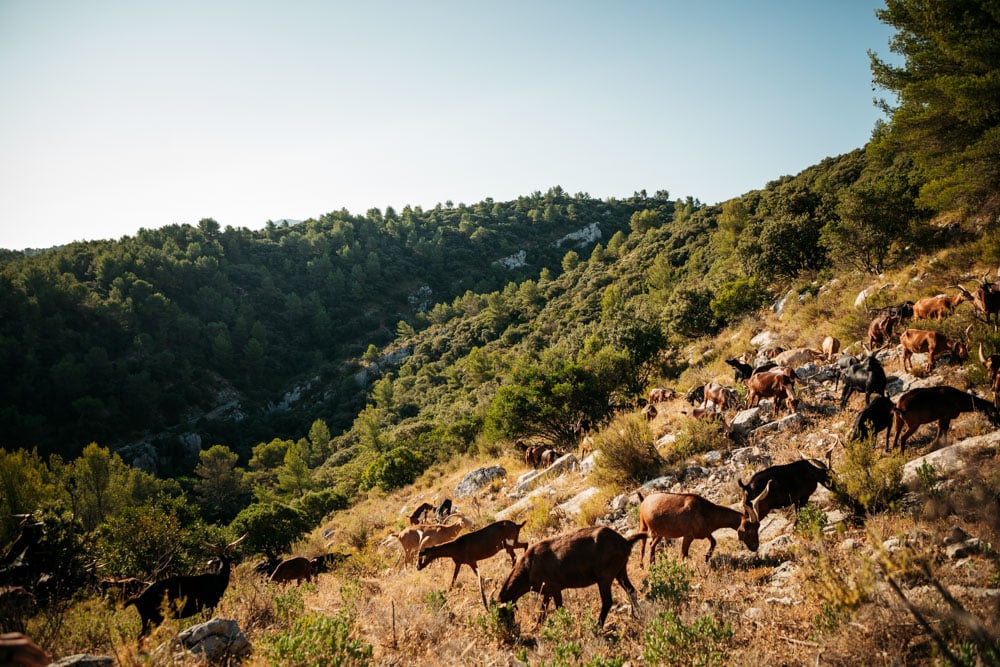 week-end nature autour d'Aix en Provence