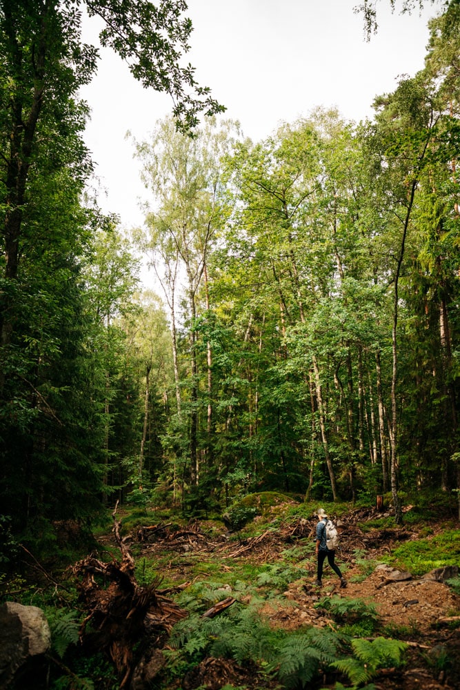 randonnée bivouac en suède blog voyage