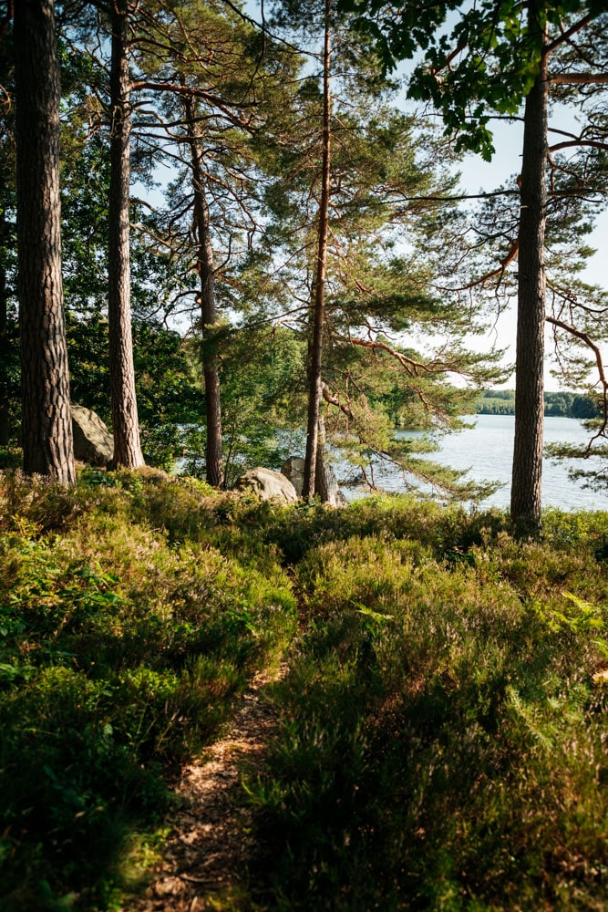 trek canoë en Suède