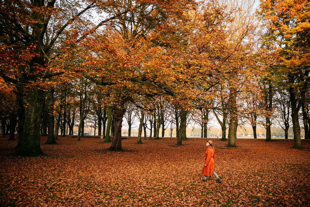 ou se promener en forêt la Haye