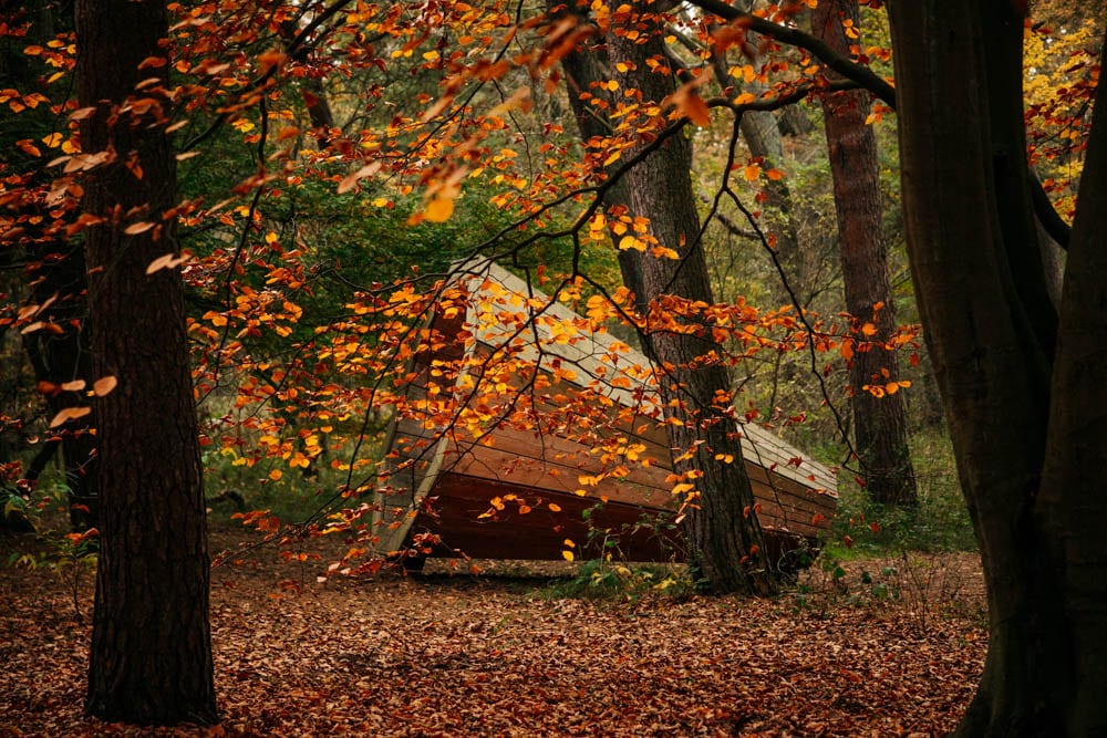 parc national des dunes hollandaises La Haye