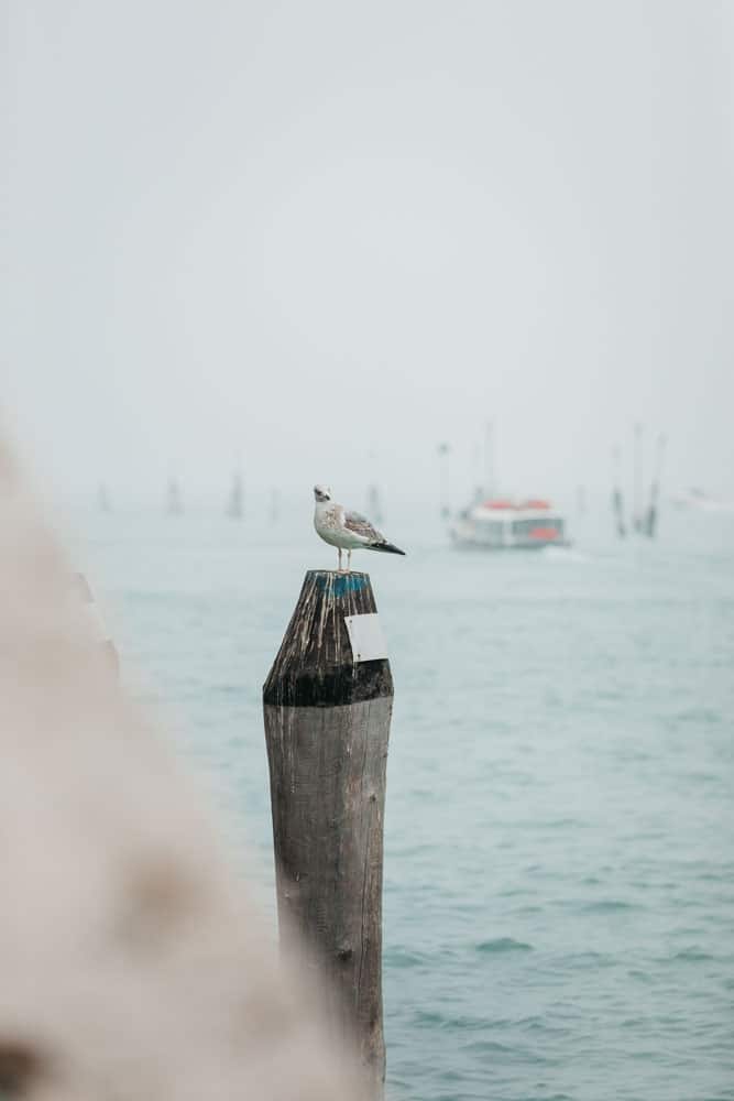 prendre le bateau à Venise