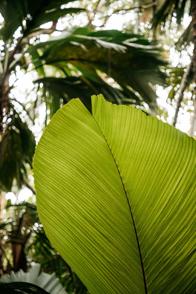 voyage entre nature et rencontres avec agence de voyage