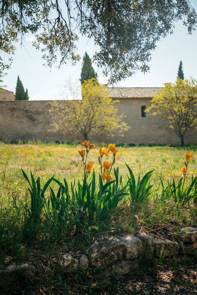 monastere de Ganagobie haute provence