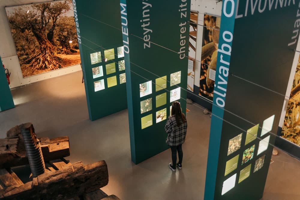 musée huile d'olive haute provence