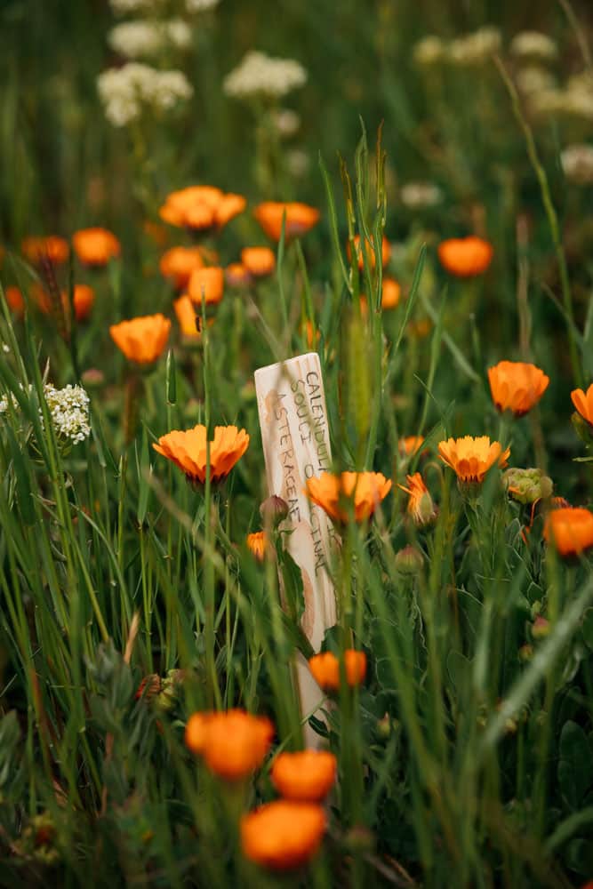 parcs et jardins haute provence