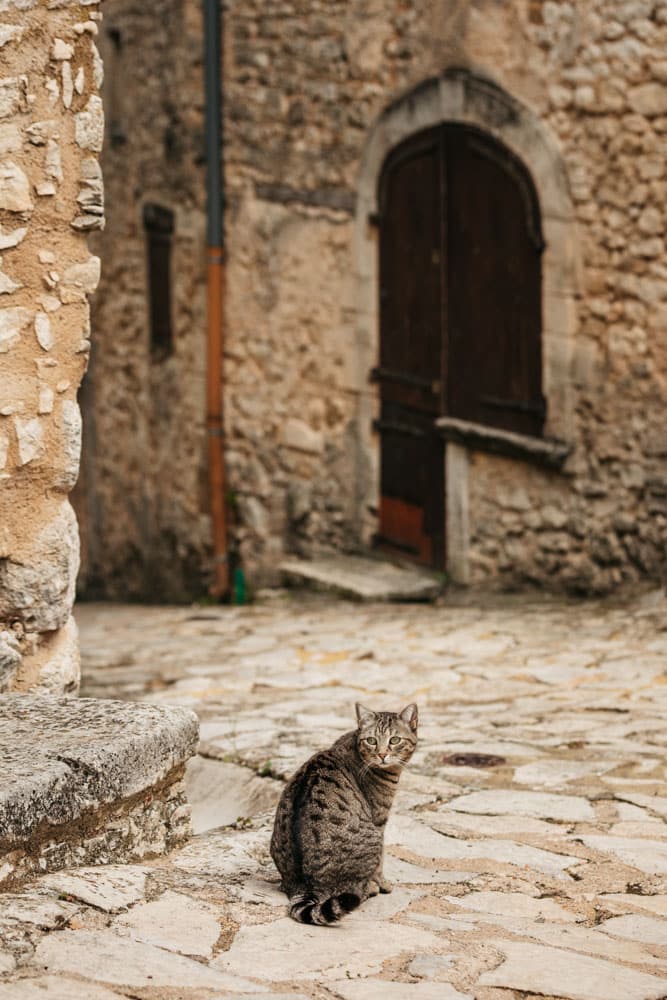 plus beau village perché de haute provence