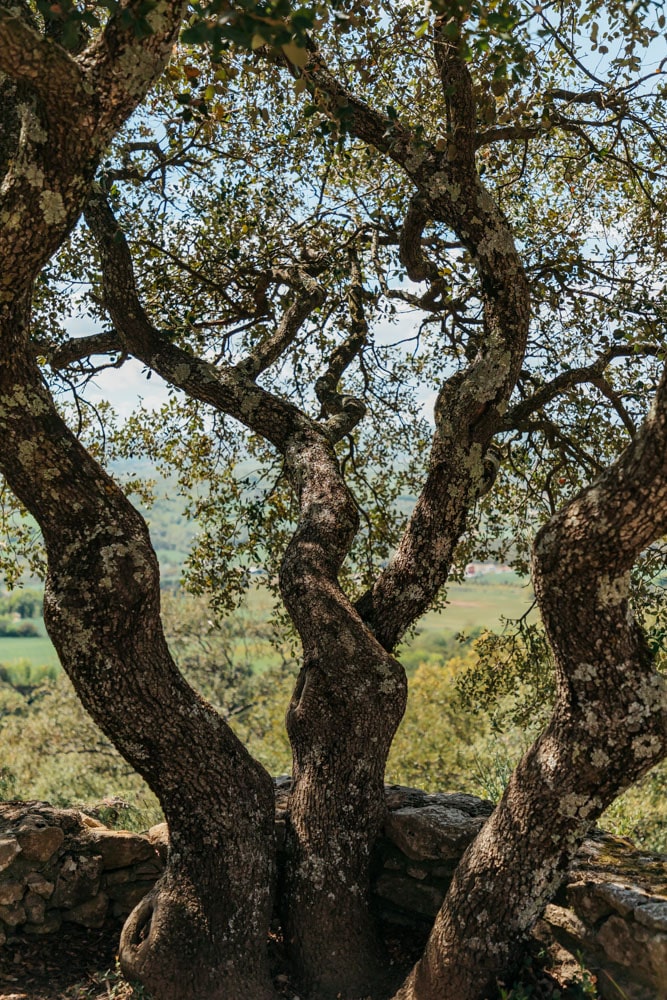 que faire en haute provence