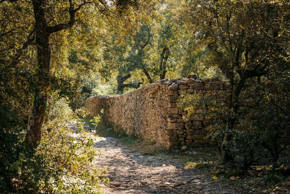 randonnées Ganagobie plus beaux endroits de Haute-Provence