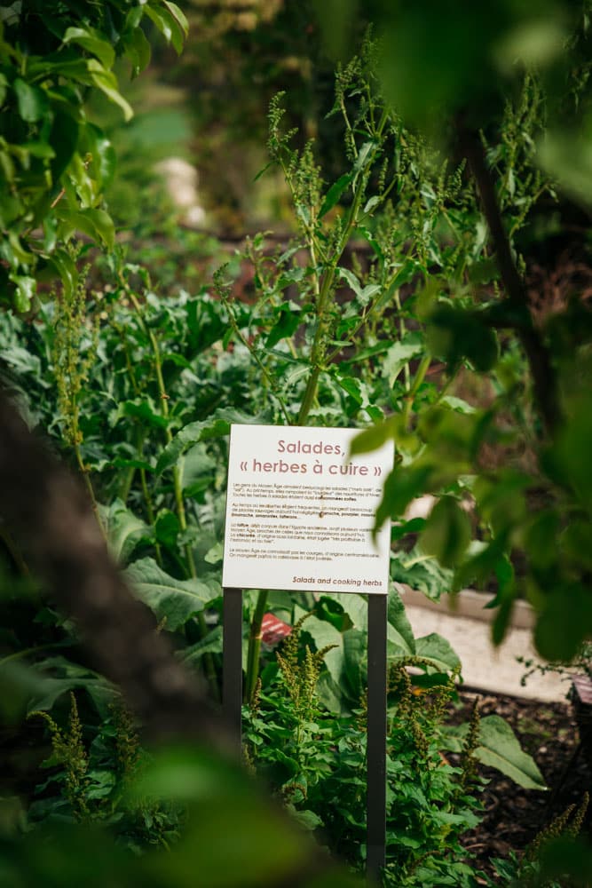 senteurs et saveurs en haute provence