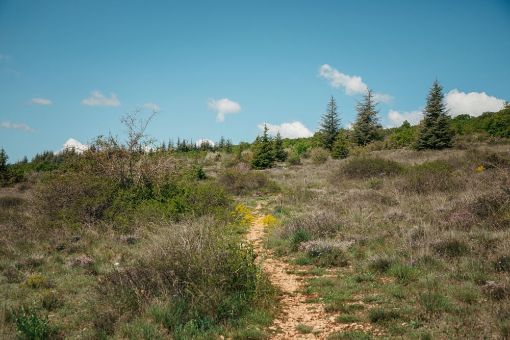 sentier botanique de la montagne de lure plus beaux paysages de Haute-Provence