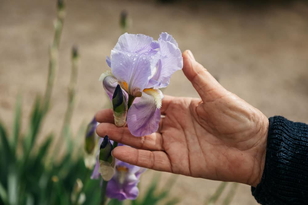 visiter le plus beau jardin de provence