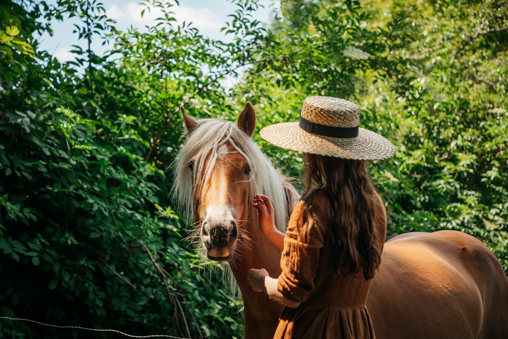 où faire du cheval en Mayenne ?