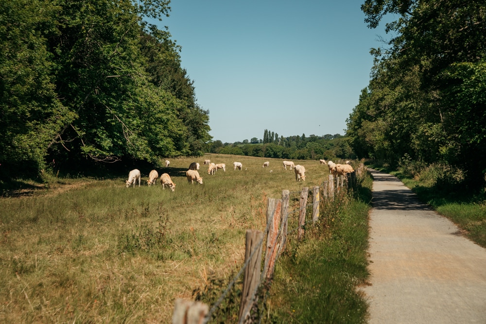 où faire du vélo en Mayenne ?